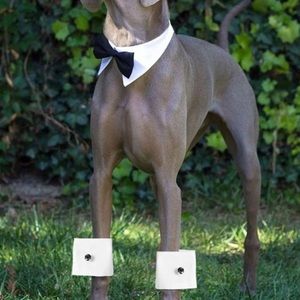 HOST PICK Dog tuxedo